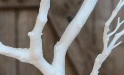 Dekoast | 95|cm -Accessoires Verkäufe 10503376 5 202204292232