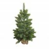 Tannenbaum im Jutesack