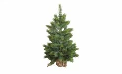 Tannenbaum im Jutesack