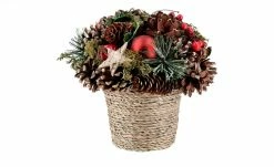 Weihnachtsdekoration im Topf