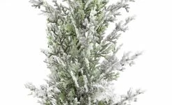 Zeder mit Schnee | 50|cm -Accessoires Verkäufe 11502228 3 202209231236