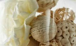 Dekokugeln im Glas mit Korkdeckel | Creme / Beige 5 Dekokugeln im Glas mit Korkdeckel | Creme / Beige -Accessoires Verkäufe 11588759 2 201811271515