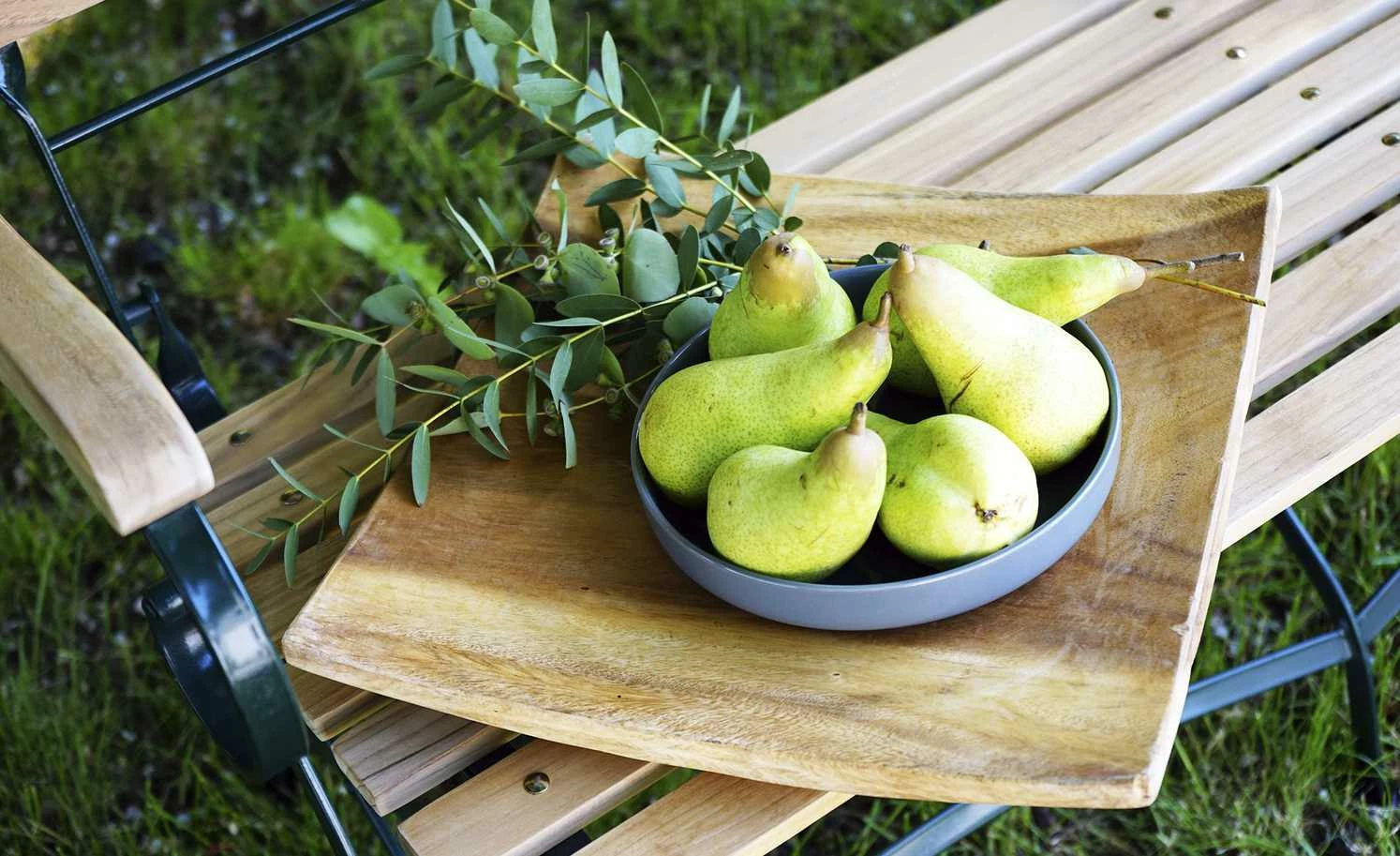 Ploß Deko - Schale Teak 4 Ploß Deko - Schale Teak – Bild 4