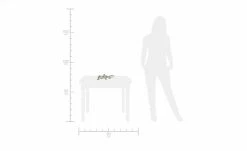 Deko Gecko -Accessoires Verkäufe 12581555 3 201911132243