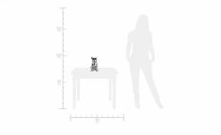 Deko Hund -Accessoires Verkäufe 12583659 2 201911152246