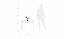 Deko-Objekt -Accessoires Verkäufe 12583660 4 201911192243