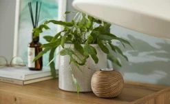 Teelichthalter | 11|cm 16 Teelichthalter | 11|cm -Accessoires Verkäufe 12583672 1 202207052234