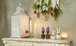 Peill+Putzler Kerzenhalter | 11|cm 12 Peill+Putzler Kerzenhalter | 11|cm -Accessoires Verkäufe 12585553 5 202012171236