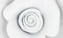 Wanddekoration, 3er-Set Rosen -Accessoires Verkäufe 13583293 4 202007080902