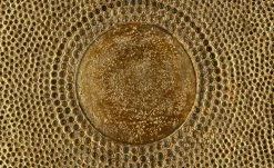 Deko-Objekt -Accessoires Verkäufe 13583450 2 202007080902