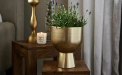 Übertopf -Accessoires Verkäufe 13585018 4 202106011251