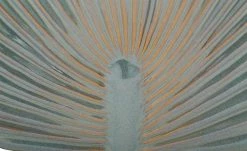 LED-Brunnen | Blau / Türkis / Braun 11 LED-Brunnen | Blau / Türkis / Braun -Accessoires Verkäufe 13586870 6 202202011247