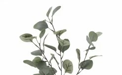 Eukalyptuszweig -Accessoires Verkäufe 596198 5 202111082248