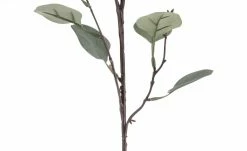 Eukalyptuszweig -Accessoires Verkäufe 596198 6 202111082248