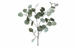Eukalyptuszweig -Accessoires Verkäufe 596198 8 202111222235