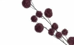 Gomphocarpus-Fruchtzweig | Dunkel Violett -Accessoires Verkäufe 596266 3 202105032232