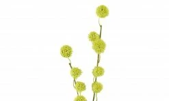 Gomphocarpus-Fruchtzweig | Grün -Accessoires Verkäufe 596268 4 202105032232