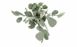 Eukalyptus-Rosmarinbund -Accessoires Verkäufe 597237 1 202101282239