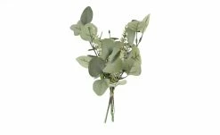 Eukalyptus-Rosmarinbund -Accessoires Verkäufe 597237 5 202112021236