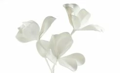 Soft Flower Magnolie | Weiß 10 Soft Flower Magnolie | Weiß -Accessoires Verkäufe 597250 1 202101132248