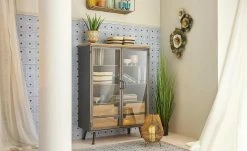 Aloe im Topf -Accessoires Verkäufe 597277 3 202110072233