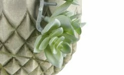 Sukkulentenmix im Zementtopf 8 Sukkulentenmix im Zementtopf -Accessoires Verkäufe 597291 3 202103081240