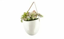 Sukkulentenmix | 18|cm -Accessoires Verkäufe 597292 4 202103081239