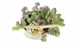 Sukkulentenmix | 18|cm -Accessoires Verkäufe 597292 5 202103081239