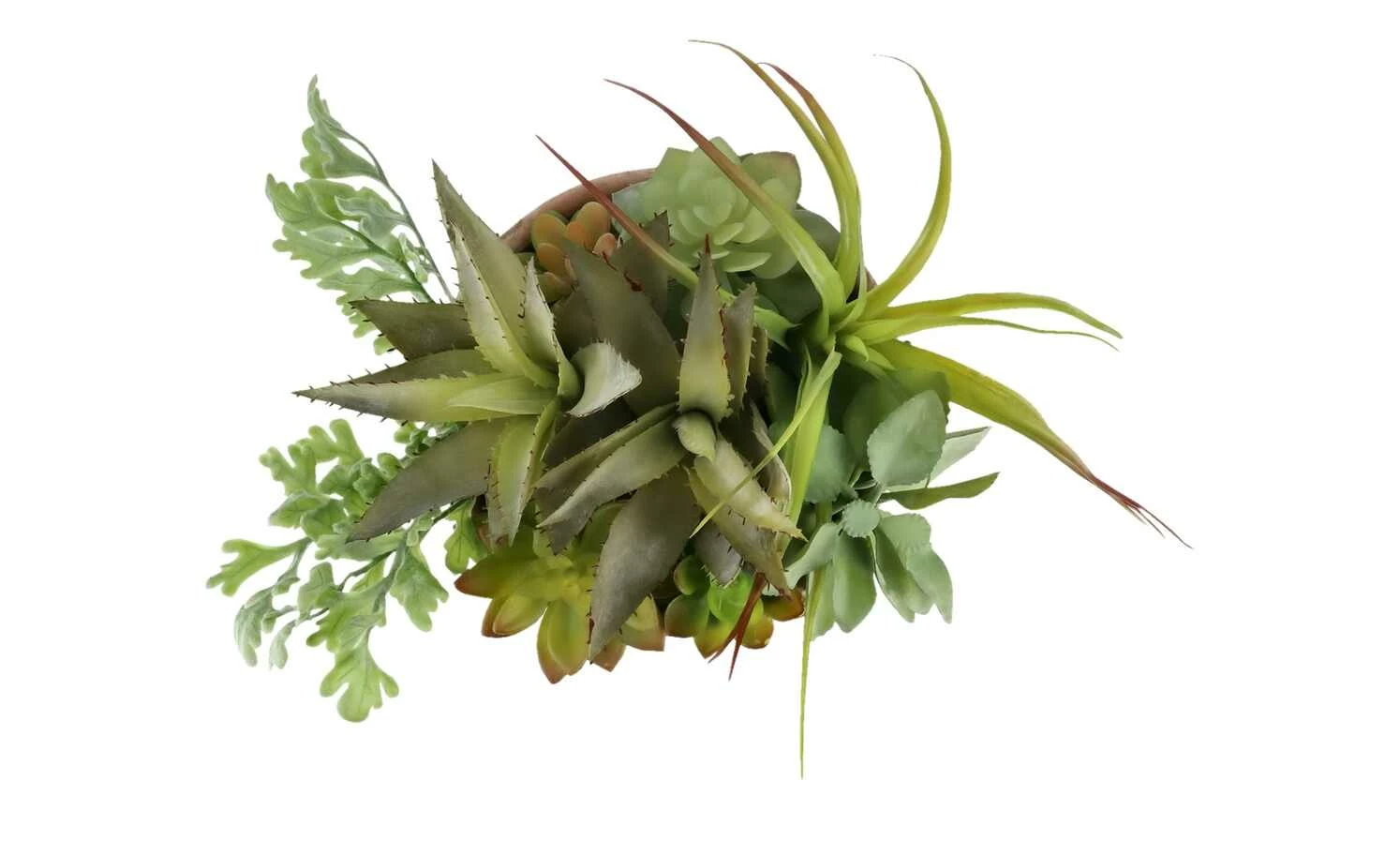 Sukkulentenmix im Zementtopf 4 Sukkulentenmix im Zementtopf – Bild 4