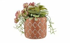 Sukkulentenmix im Zementtopf -Accessoires Verkäufe 597295 2 202103081240