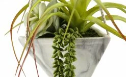 Sukkulentenmix | Ausführung II -Accessoires Verkäufe 597297 4 202103081239