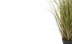 Grasbüschel mit Blüten -Accessoires Verkäufe 597326 2 202111091306