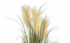 Pampasgras -Accessoires Verkäufe 597336 3 202108201246