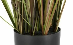 Pampasgras -Accessoires Verkäufe 597336 4 202108201246