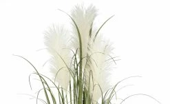 Pampasgras -Accessoires Verkäufe 597337 2 202108201248