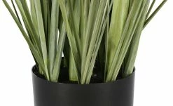 Pampasgras -Accessoires Verkäufe 597337 3 202108201248