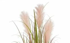 Pampasgras -Accessoires Verkäufe 597338 2 202108201248