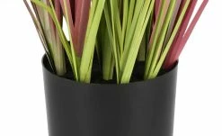 Pampasgras -Accessoires Verkäufe 597338 3 202108201248