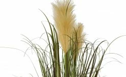 Pampasgras -Accessoires Verkäufe 597339 5 202202082233