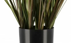 Pampasgras -Accessoires Verkäufe 597339 6 202202082233