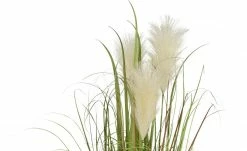 Pampasgras -Accessoires Verkäufe 597340 3 202111162234