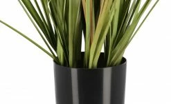 Pampasgras -Accessoires Verkäufe 597340 4 202111162234