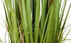 Grasbüschel | Braun-Grün 5 Grasbüschel | Braun-Grün -Accessoires Verkäufe 597342 3 202209070031