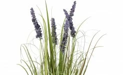 Grasbüschel mit Lavendelblüten -Accessoires Verkäufe 597347 2 202111122234