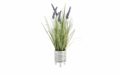 Grasbüschel mit Lavendelblüten