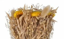 Trockenblumenstrauß | Gelb / Braun -Accessoires Verkäufe 597355 7 202207052234