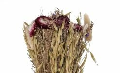 Trockenblumenstrauß | Lila / Braun -Accessoires Verkäufe 597356 3 202202011247