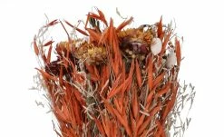 Trockenblumenstrauß | Braun / Orange -Accessoires Verkäufe 597357 4 202202011247