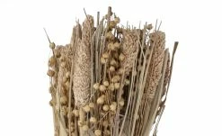 Trockenblumenstrauß | Borstenhirse / Lein -Accessoires Verkäufe 597359 3 202202011247
