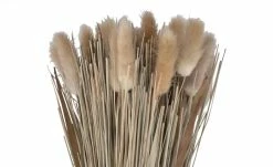 Trockenblumenstrauß | Samtgras -Accessoires Verkäufe 597360 3 202202011247